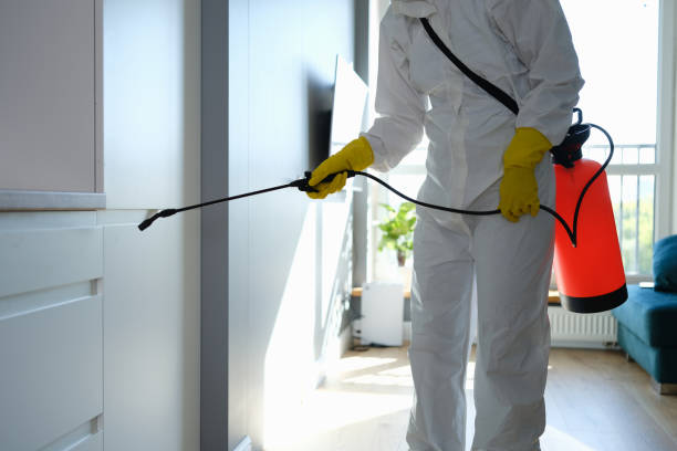 Best Commercial Mold Remediation in Prudenville, MI